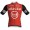 Team Arkea-B&B Hotels 2025 officieel Rosti-shirt voor heren