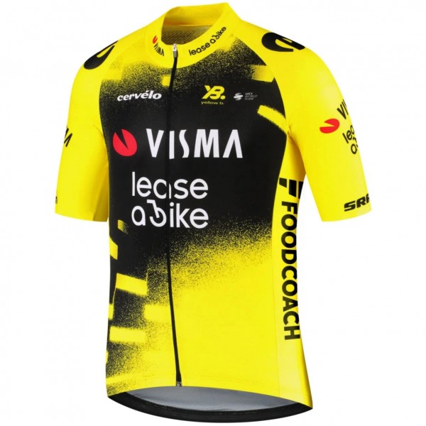 Heren Team Visma Lease a Bike 2025 The Wingbeat shirt