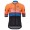 De Rosa Santini 2017 Fietskleding Wielershirt Korte Mouw 201717698